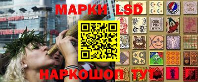 мдпв Гусь-Хрустальный
