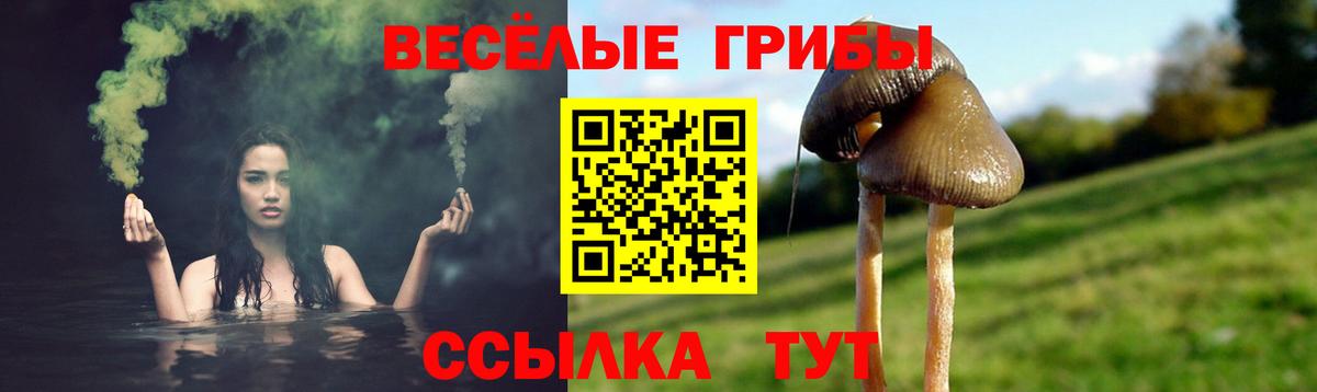 Мичуринск  Галлюциногенные грибы Magic Shrooms  Вход с VPN  закладки  Галлюциногенные грибы ЛСД 